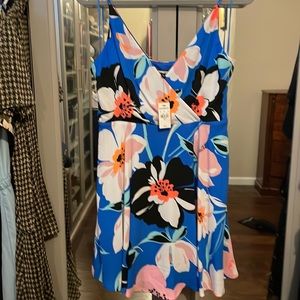 Express Floral Dress